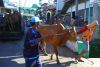 Ucapan Yang Bagus Untuk Hari Raya Idul Fitri