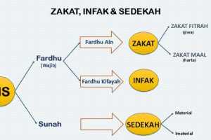 Perbedaan Zakat Fitrah Infak Dan Sedekah