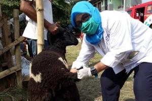 Hukum Aqiqah Pakai Uang Hutang