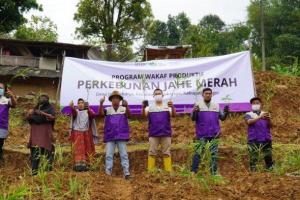 Tata Cara Wakaf Benda Tidak Bergerak