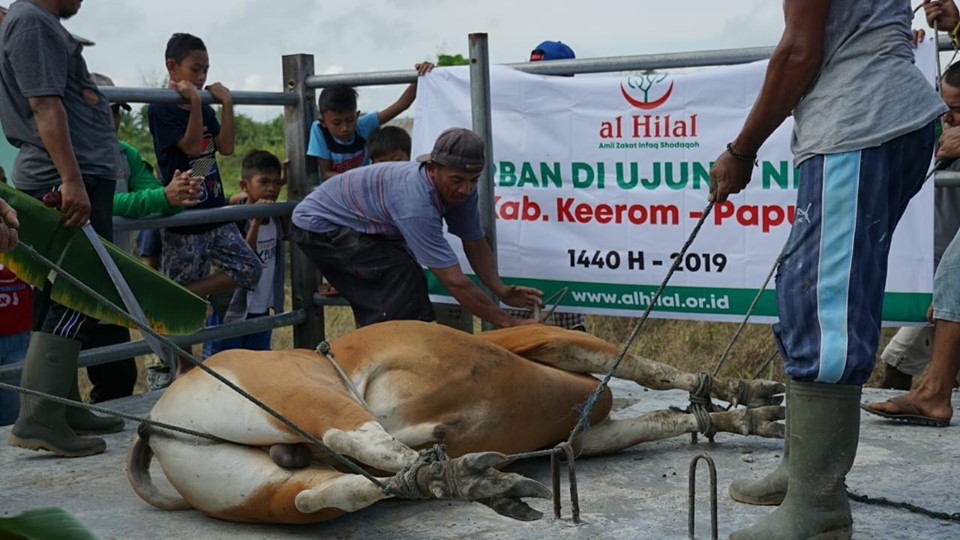 Apakah Perbedaan Antara Qurban Dengan Aqiqah