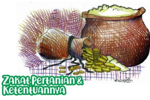 Zakat Yang Dikeluarkan Dari Hasil Pertanian Dan Perkebunan Disebut