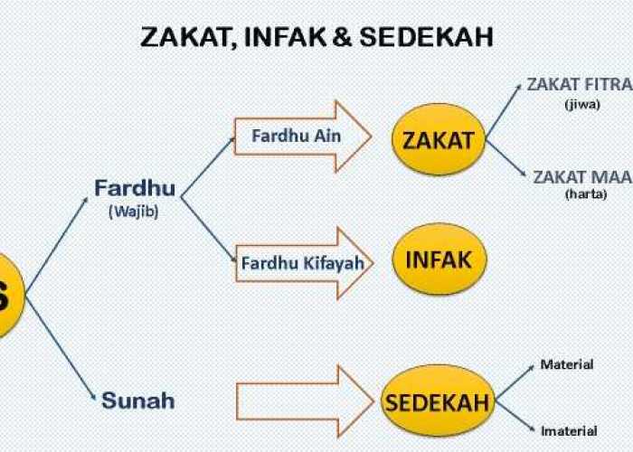 Jelaskan Perbedaan Infaq Dan Zakat