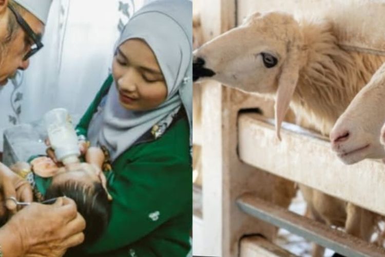 Hukum Aqiqah Untuk Orang Tua Yg Sudah Meninggal. Harus Tahu, Inilah Hukum Akikah untuk Orang Tua yang Sudah