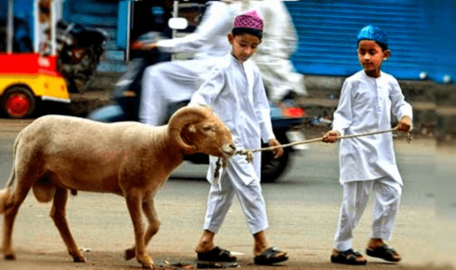 Bolehkah Aqiqah Anak Laki2 Dengan Satu Kambing. Sahkah Akikah Anak Laki-laki dengan Satu Kambing?