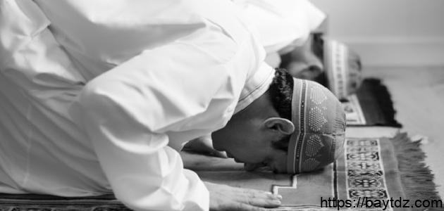 Berikut Adalah Sunah Haiat Dalam Shalat Kecuali. Empat Perbedaan Sunnah Ab'adh dan Sunnah Haiat dalam Shalat