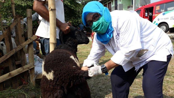 Hukum Aqiqah Pakai Uang Hutang. Bolehkah Kurban Pakai Uang Arisan atau Utang? Ini Kata Ustaz