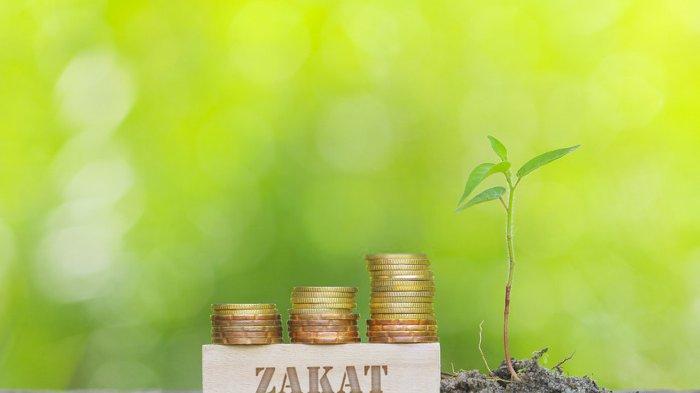 Niat Mengeluarkan Zakat Fitrah Latin. Tata Cara dan Niat Bayar Zakat Fitrah, Lengkap dengan Latin dan