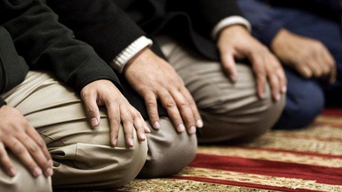 Surat Pendek Yang Dibaca Saat Sholat Tarawih 8 Rakaat. Kumpulan Surat Pendek untuk Tarawih 8 Rakaat