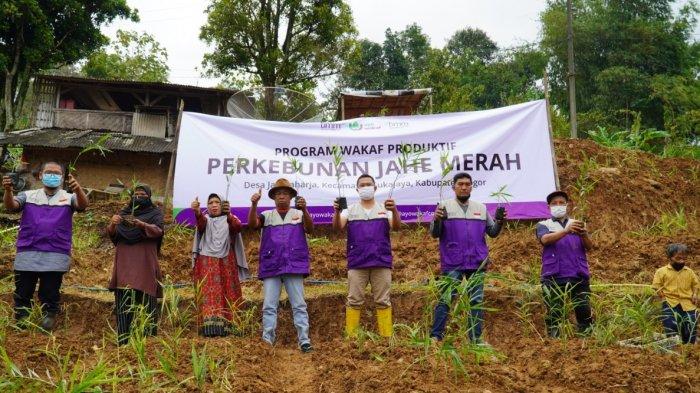 Contoh Wakaf Benda Tidak Bergerak. Panduan Wakaf Benda Tidak Bergerak, Bentuk Wakaf hingga Cara