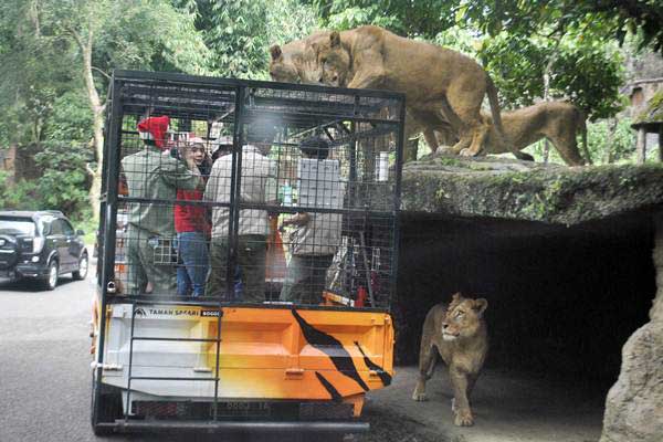 Tempat Wisata Yang Buka Saat Lebaran Di Bogor. 3 Tempat Wisata Bogor Ini Buka pada Hari Kedua Lebaran