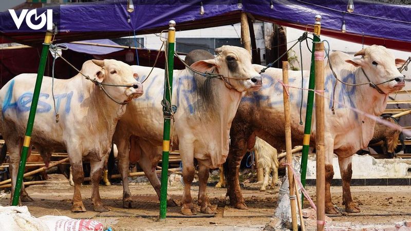 Jenis Puasa Sebelum Idul Adha. Niat Puasa Sebelum Iduladha, Ada 3 Jenis Sebelum Sholat Ied