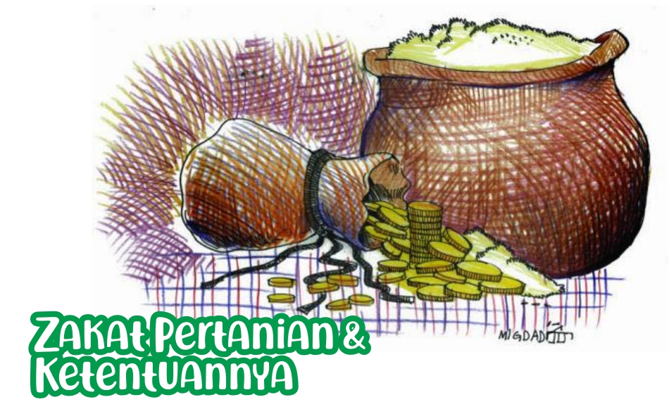 Pembayaran Zakat Pertanian Atau Perkebunan Dibayar Ketika. Zakat Hasil Pertanian & Ketentuannya -