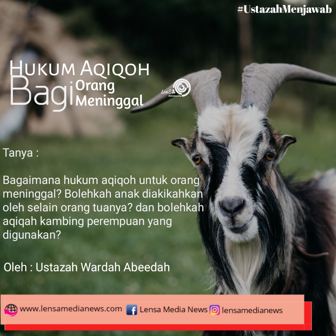 Hukum Aqiqah Bagi Orang Meninggal. Hukum Aqiqoh Bagi Orang Meninggal