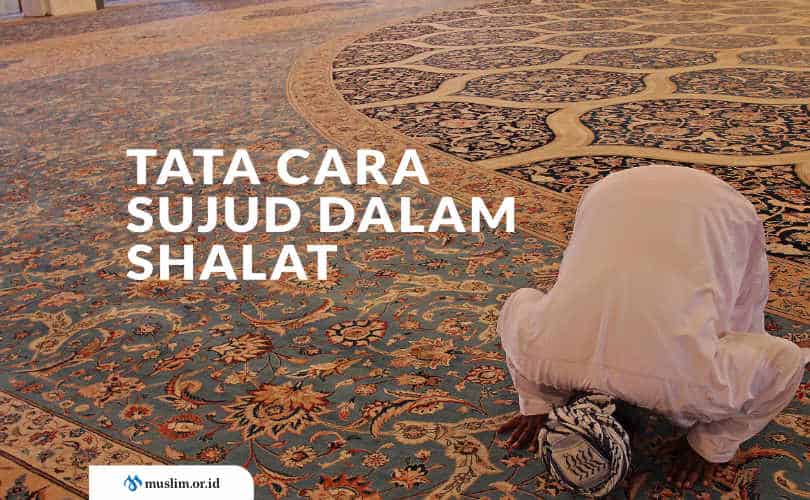 Tata Cara Shalat Fardhu Rumaysho. Tata Cara Sujud Dalam Shalat