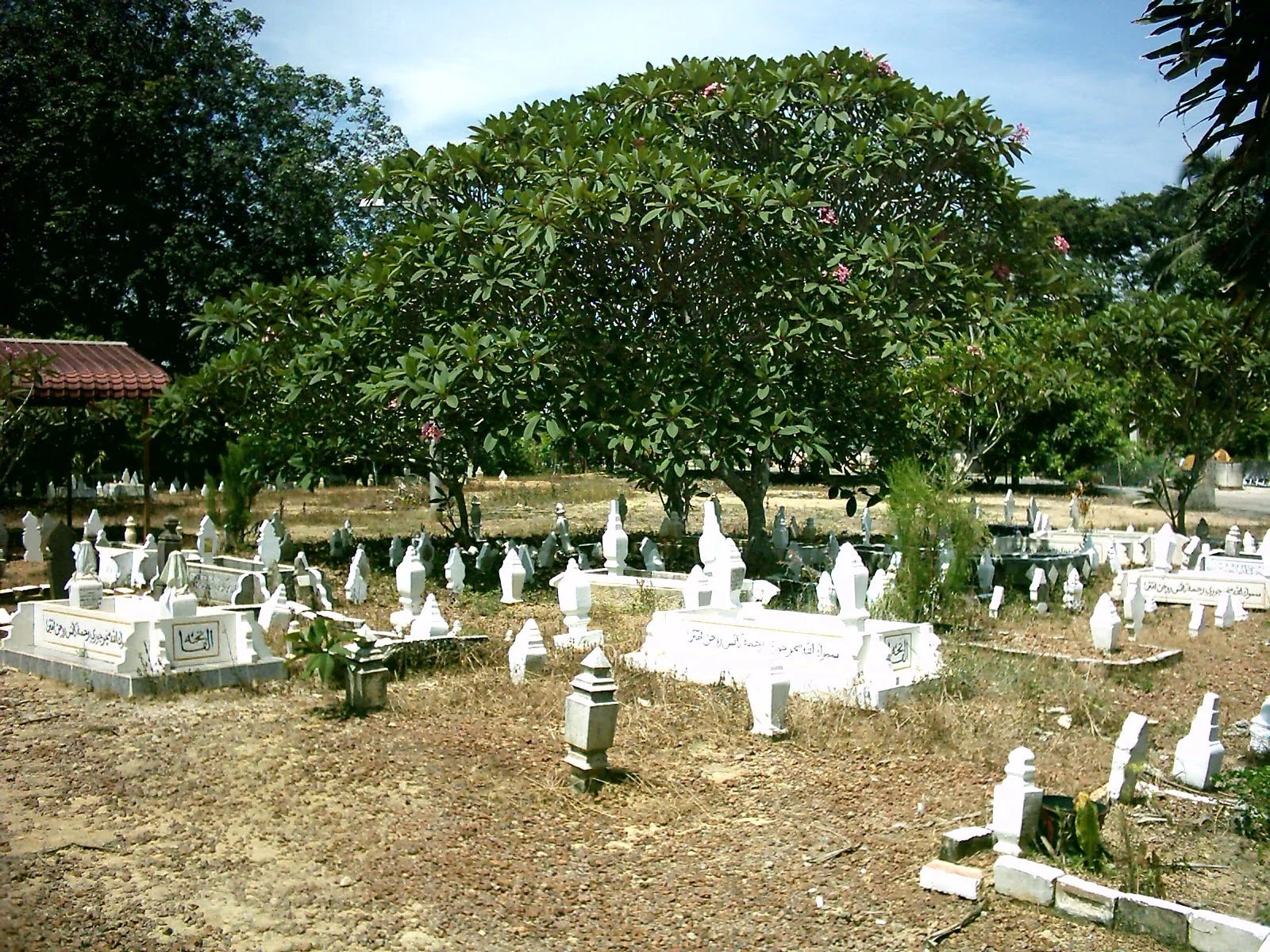 Hukum Membangun Kuburan Di Tanah Wakaf. Lahan Kuburan Semakin Sempit, Bagaimana Hukum Membangun