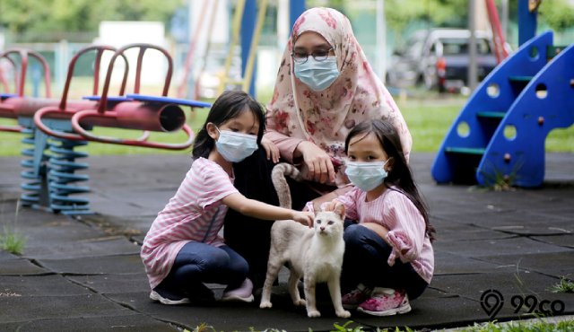 Arti Didekati Kucing Saat Sholat. 3 Pertanda dari Allah Swt Ketika Didekati Kucing Liar