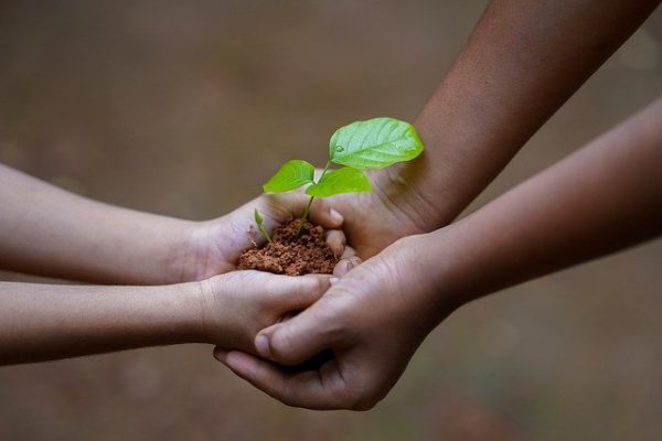 Contoh Infaq Yang Hukumnya Sunnah Adalah. Apa Itu Infak? Jenis, Contoh dan Hikmahnya Lengkap